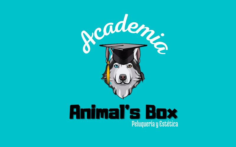 Curso Peluquería Canina